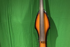 Upright Bass by Palatino